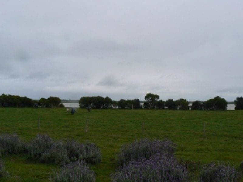 35 Beeac Cemetery Road BEEAC VIC, Beeac - Thumbnail 3
