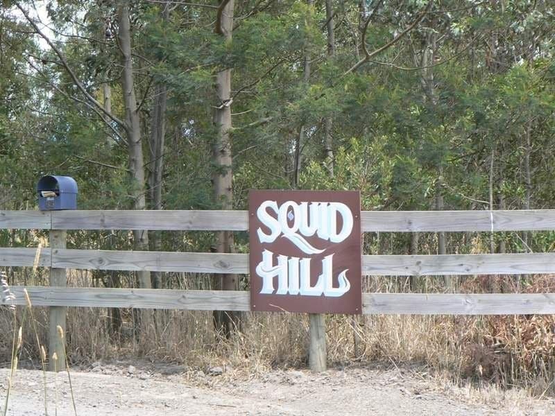 85 Forest Street South ELLIMINYT VIC, South Elliminyt - Thumbnail 2