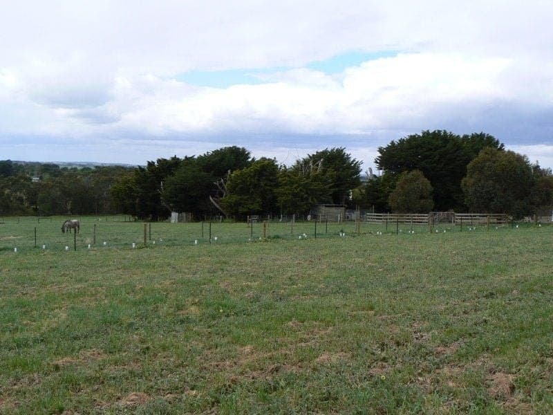 1/38 Murrell Street BIRREGURRA VIC, Birregurra - Image 1