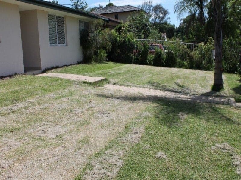 8 Denbern Street, Dean Park - Thumbnail 3