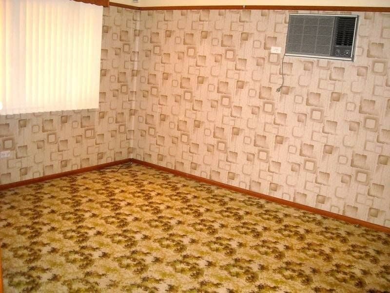 117 Peter Street, Blacktown - Thumbnail 4