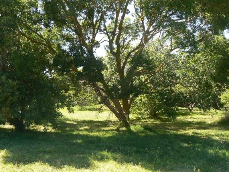 6 Nelson Street COLAC VIC, Colac - Thumbnail 7