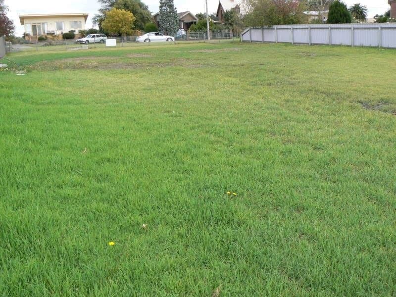 23 Tulloh Street ELLIMINYT VIC, Elliminyt - Thumbnail 3