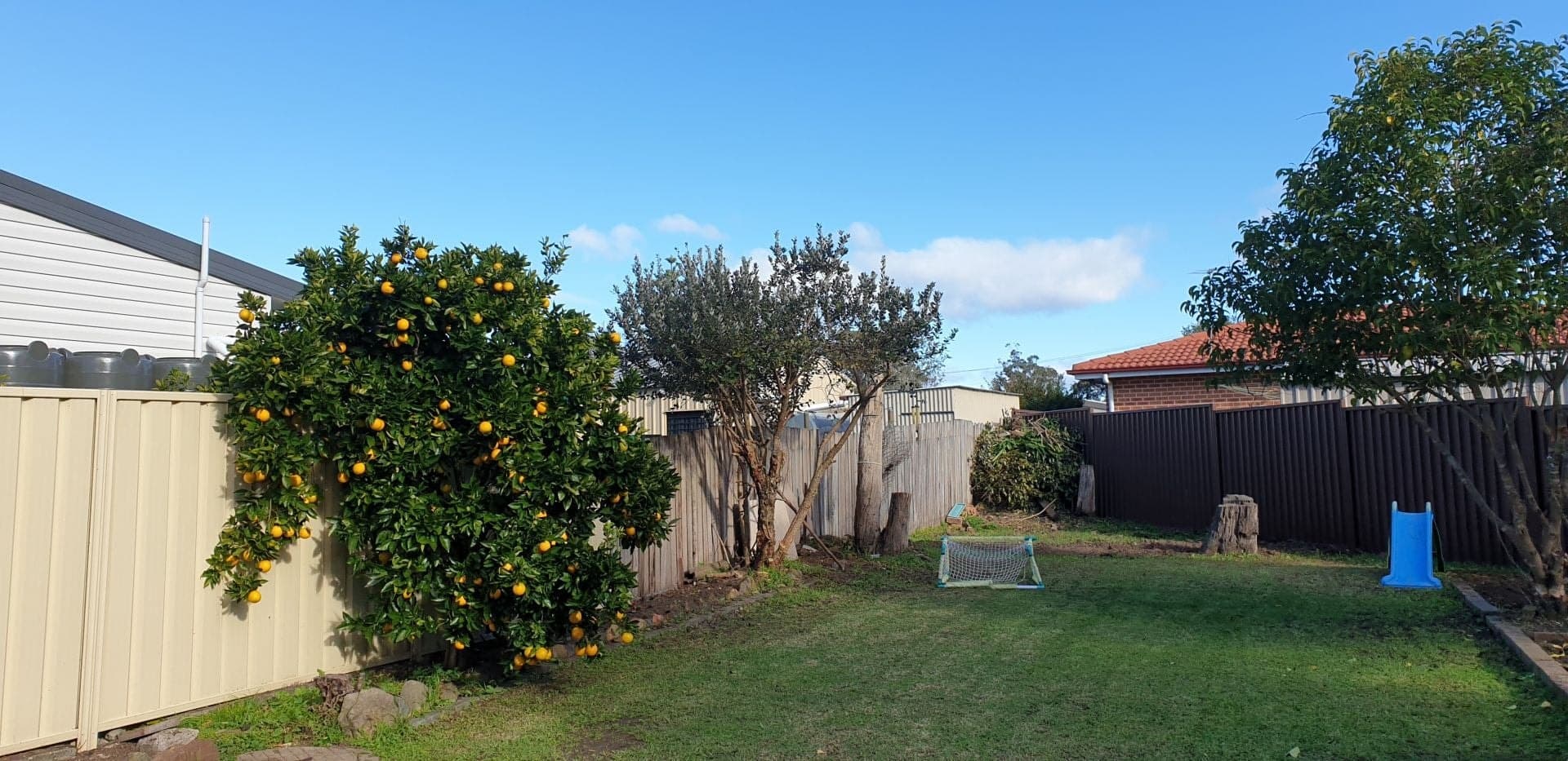 24 Meath Place, Blacktown - Thumbnail 7