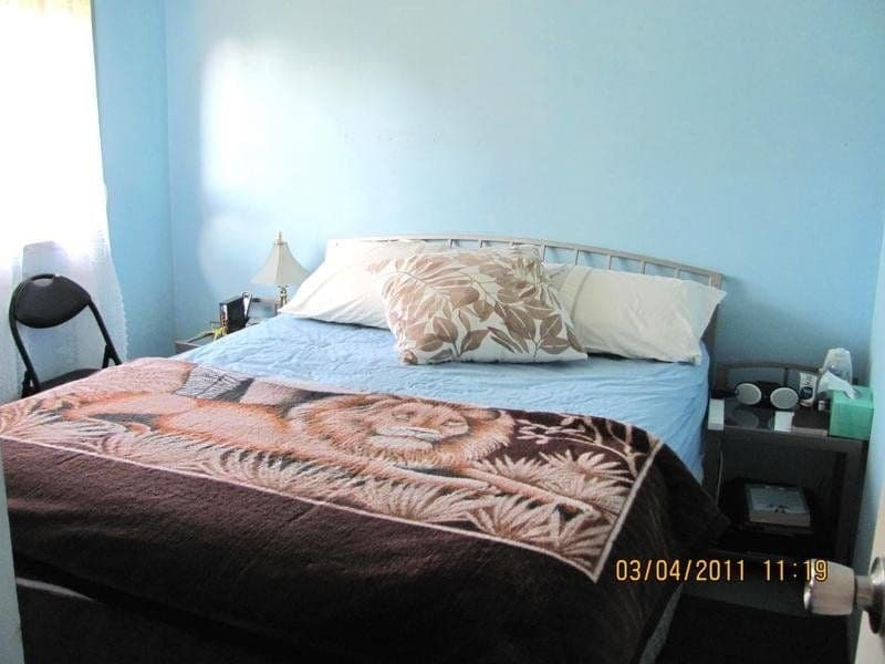 25 Cowper Street, Quakers Hill - Thumbnail 5