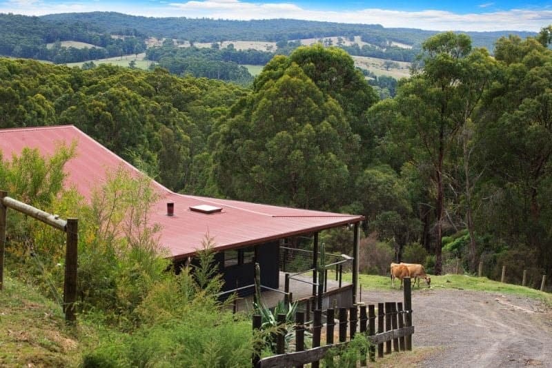 175 Frys Road KAWARREN VIC, Kawarren - Image 1