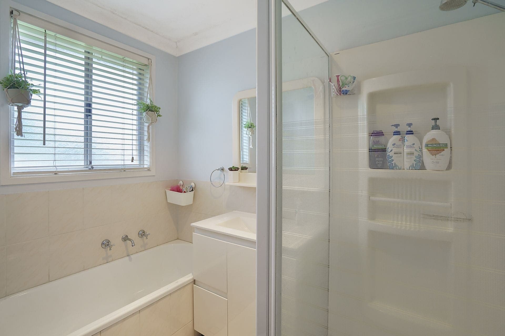 16 Glenn Street, Dean Park - Thumbnail 7