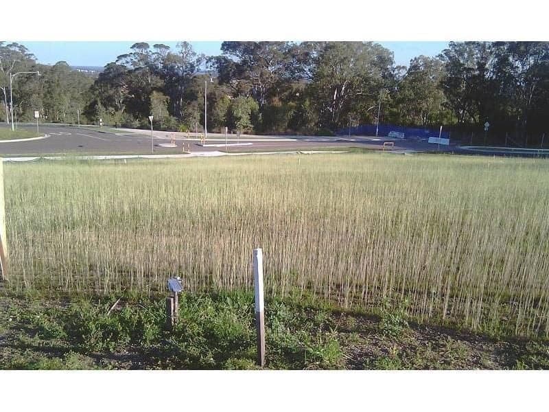 PEMULWUY, Pemulwuy - Image 1