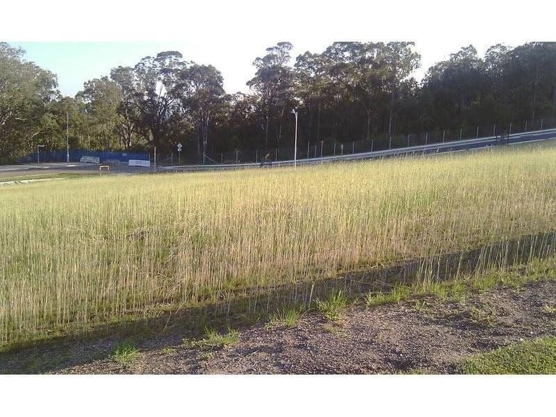 PEMULWUY, Pemulwuy - Thumbnail 2