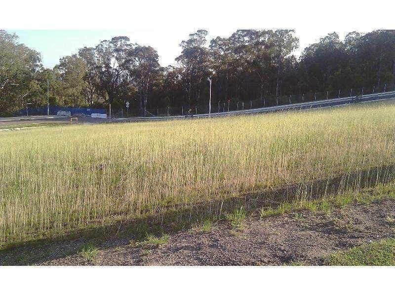 PEMULWUY, Pemulwuy - Thumbnail 2