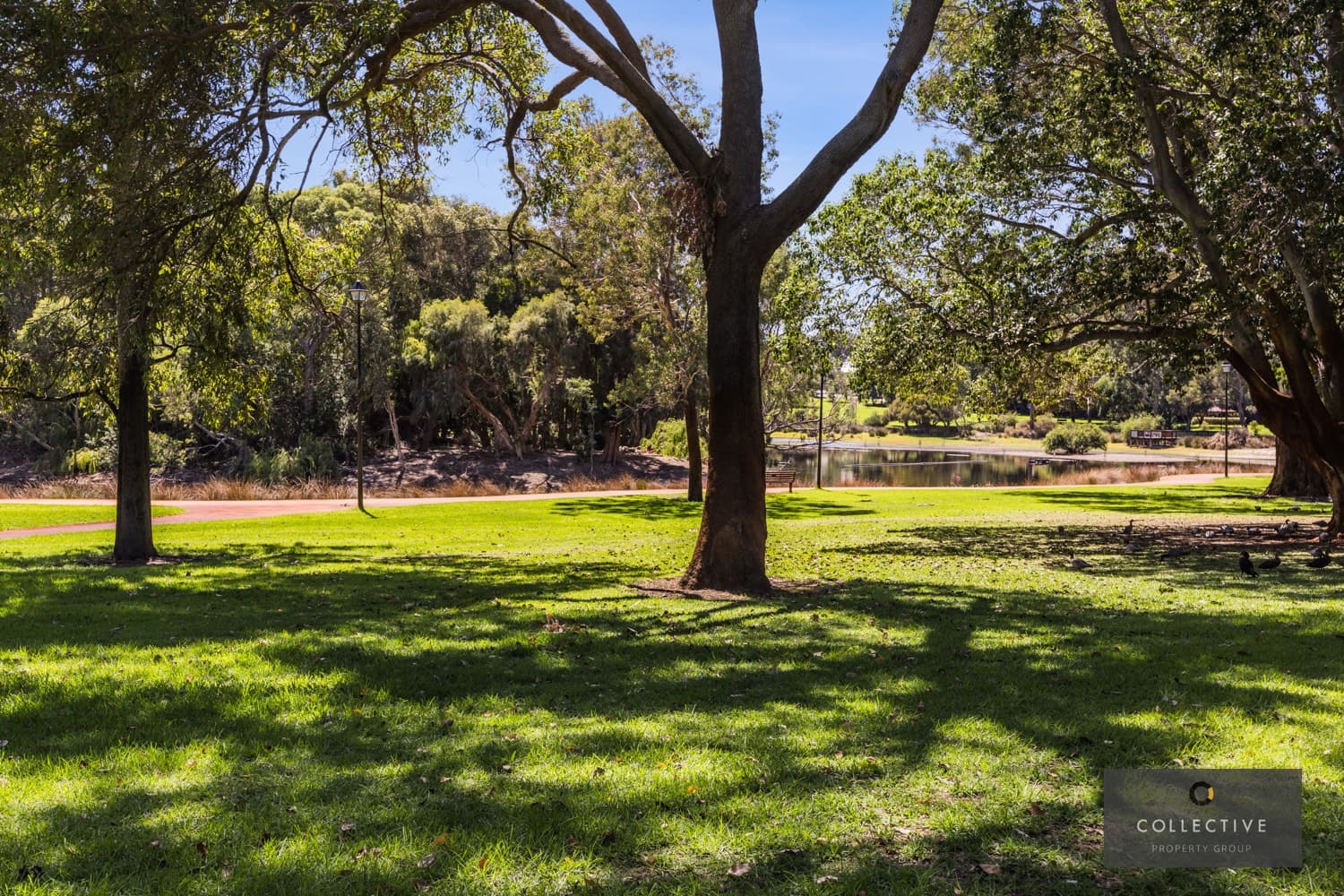 41 Evans Street, Shenton Park - Thumbnail 4
