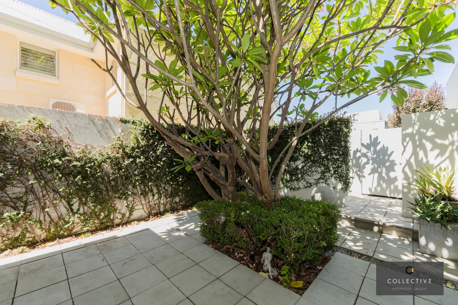 41 Evans Street, Shenton Park - Thumbnail 7