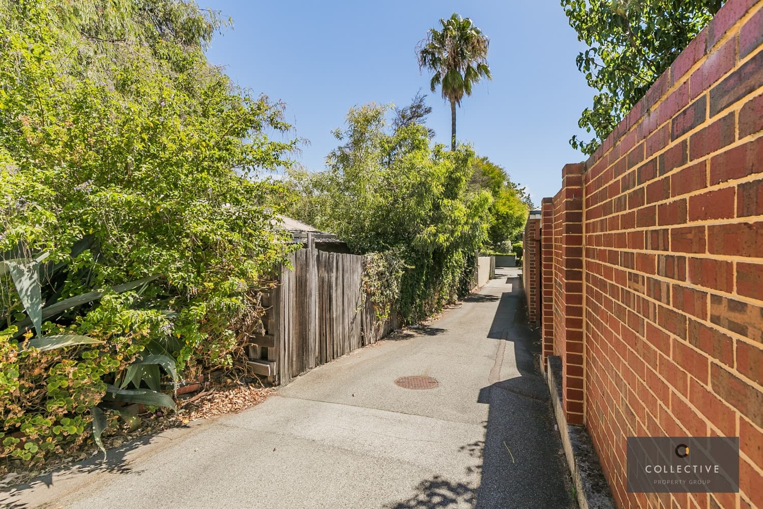 2/36 Bagot Road, Subiaco - Thumbnail 2