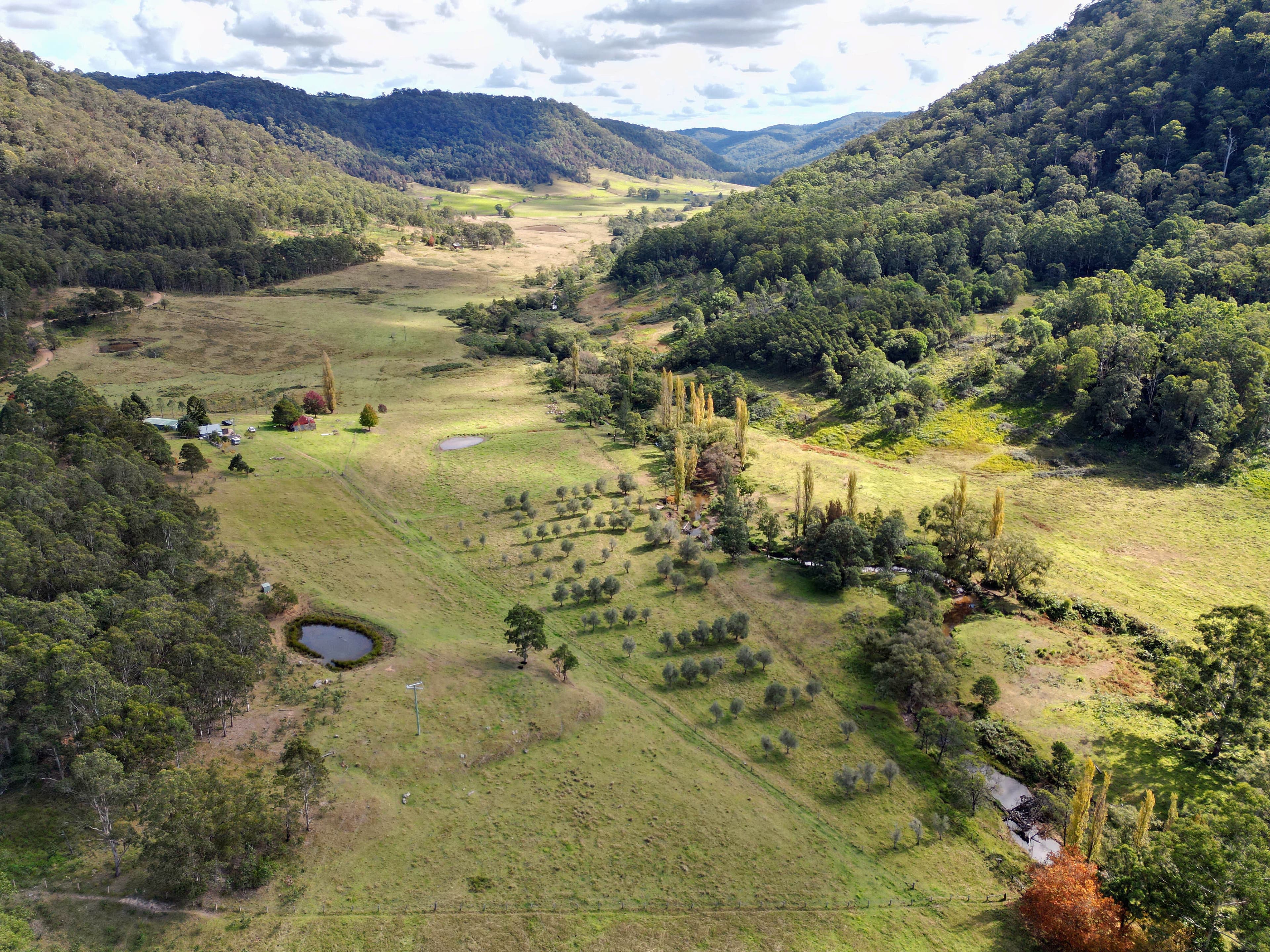 1713 Watagan Creek Road, Laguna, Laguna - Image 1
