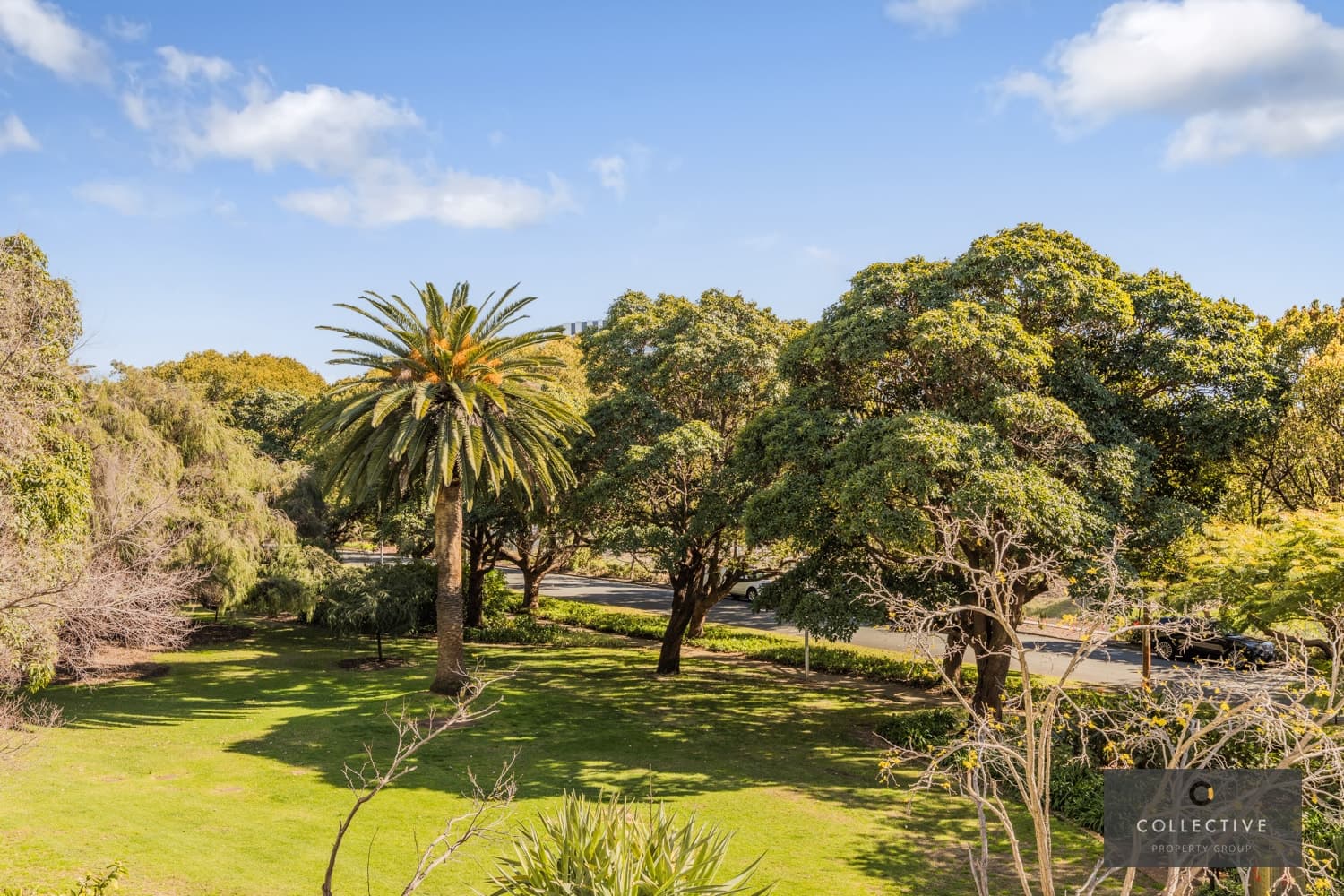 E3/161 Colin Street, West Perth - Thumbnail 4