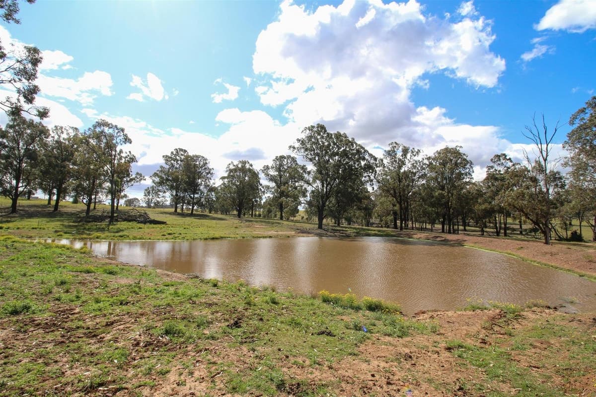 536 Bridgman Road, SINGLETON NSW 2330, Singleton - Thumbnail 4
