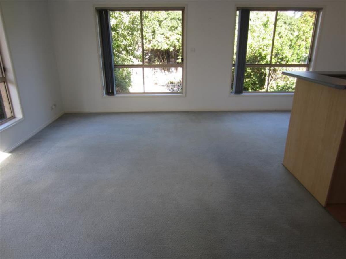 19 York Street, SINGLETON NSW 2330, Singleton - Thumbnail 2