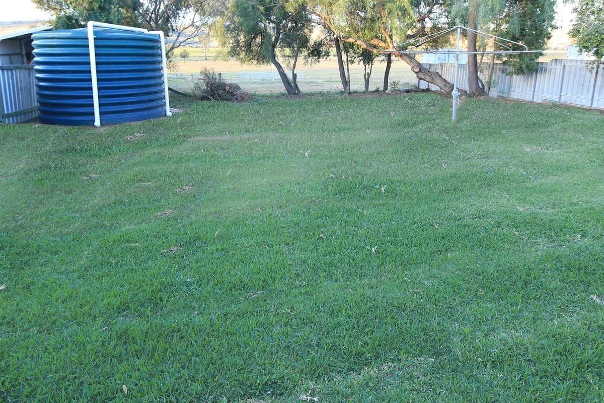 6 Pagan Street, JERRYS PLAINS NSW 2330, Jerrys Plains - Thumbnail 7