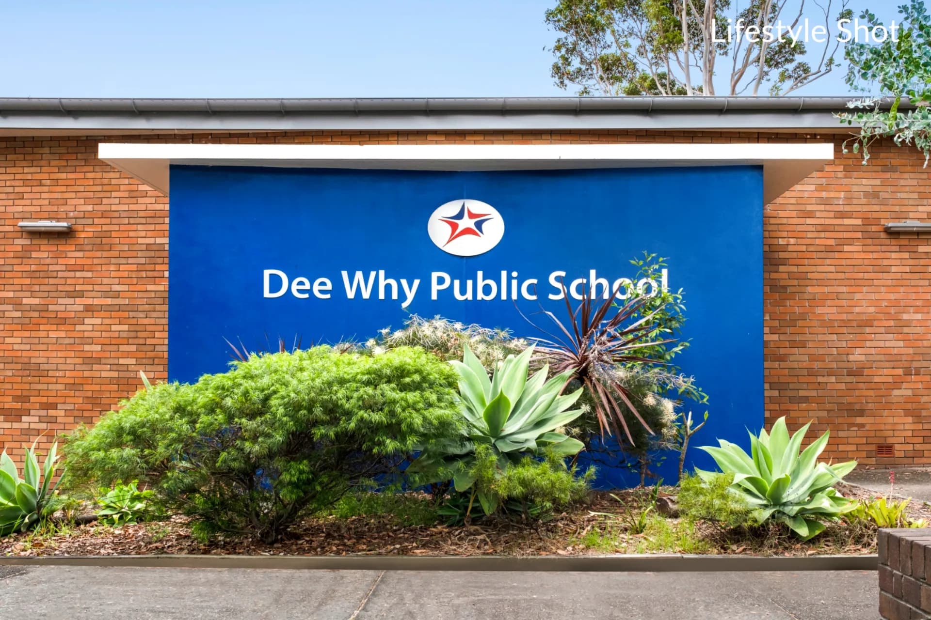 215/15 Howard Avenue, Dee Why, NSW, Dee Why - Thumbnail 8