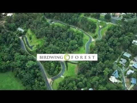 4 Forest Rise Court, BUDERIM QLD 4556, Buderim - Thumbnail 4