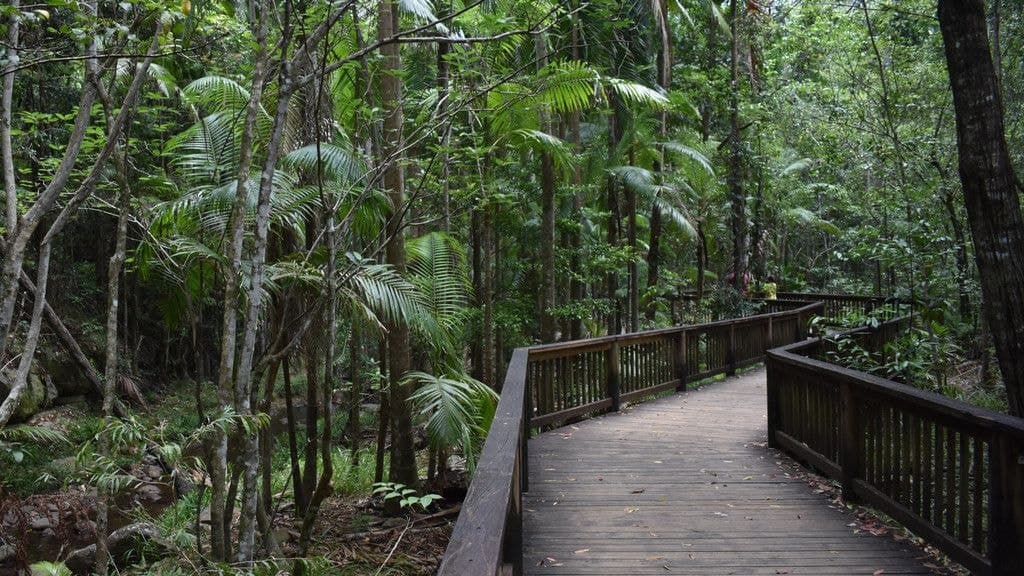 4 Forest Rise Court, BUDERIM QLD 4556, Buderim - Thumbnail 7