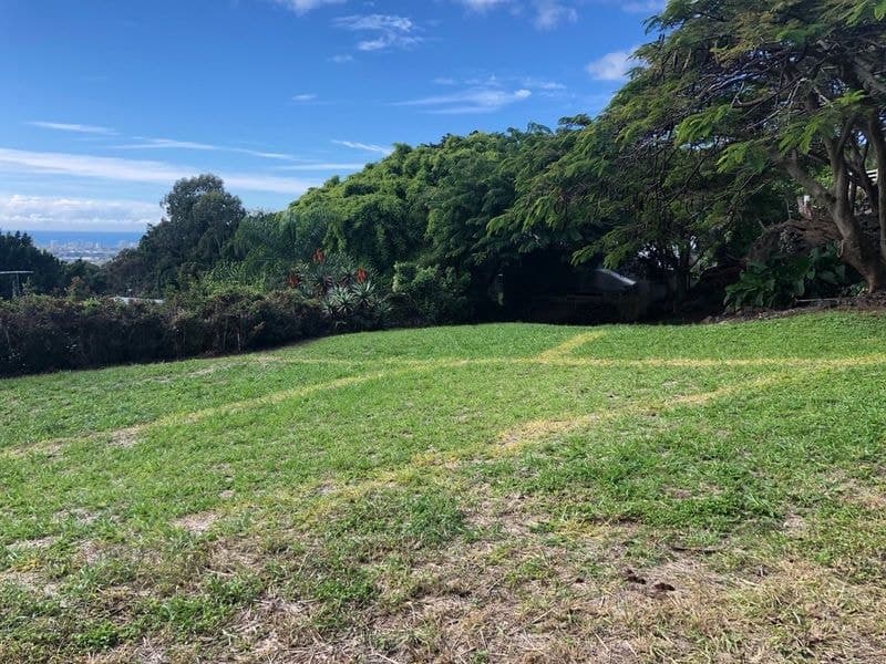 41A Ferguson Avenue, BUDERIM QLD 4556, Buderim - Thumbnail 4