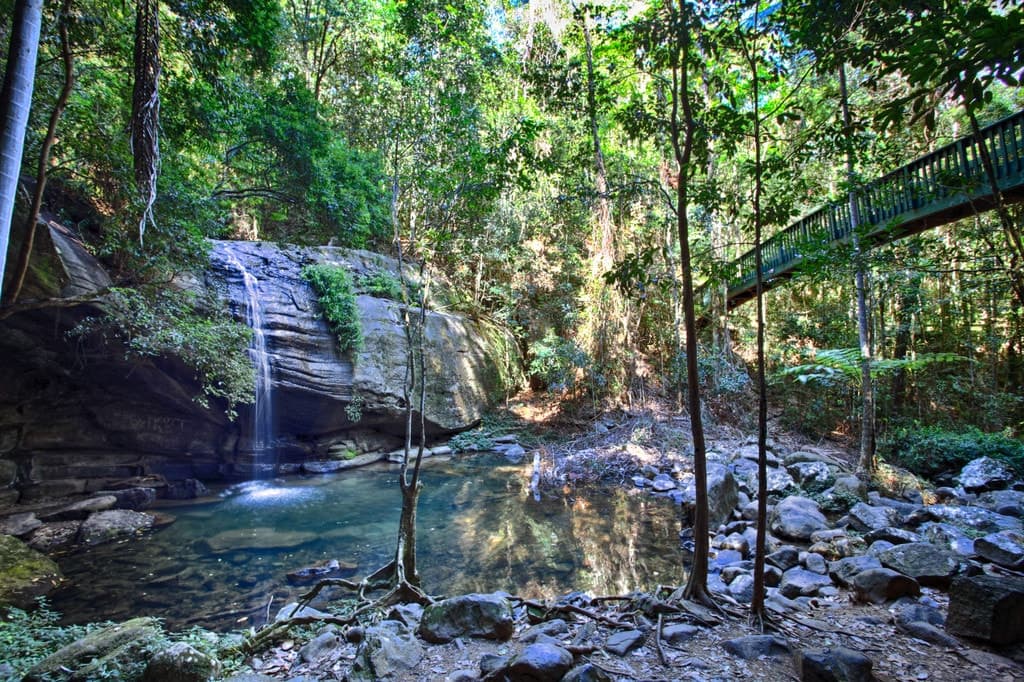 7 Ariel Court, BUDERIM QLD 4556, Buderim - Thumbnail 5