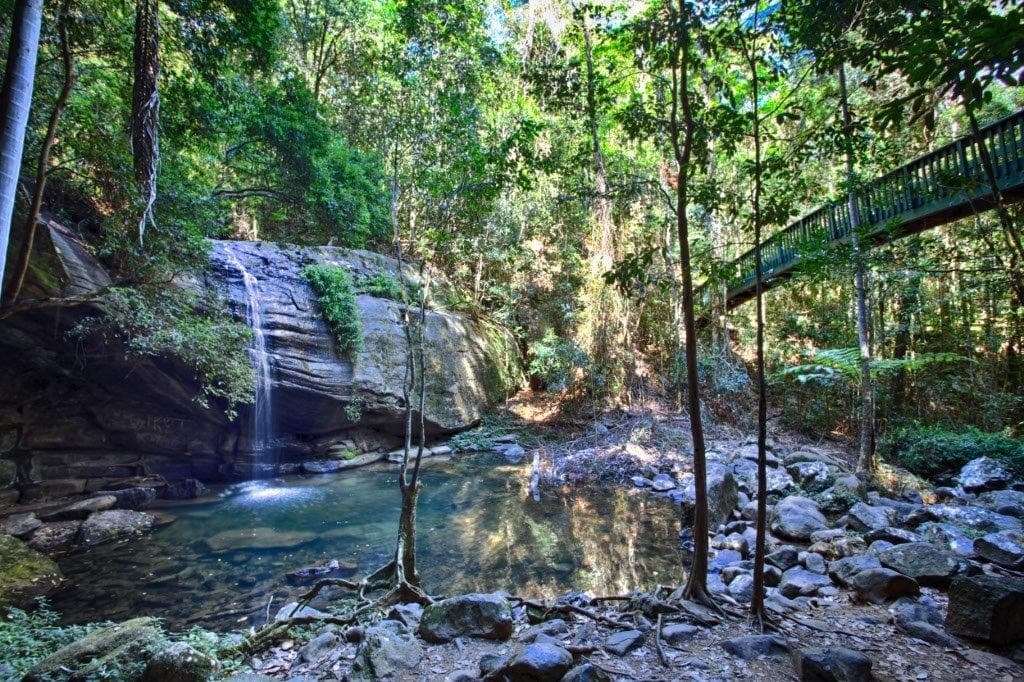 Lot 46 Cicada Close (Birdwing Forest), BUDERIM QLD 4556, Buderim - Thumbnail 6