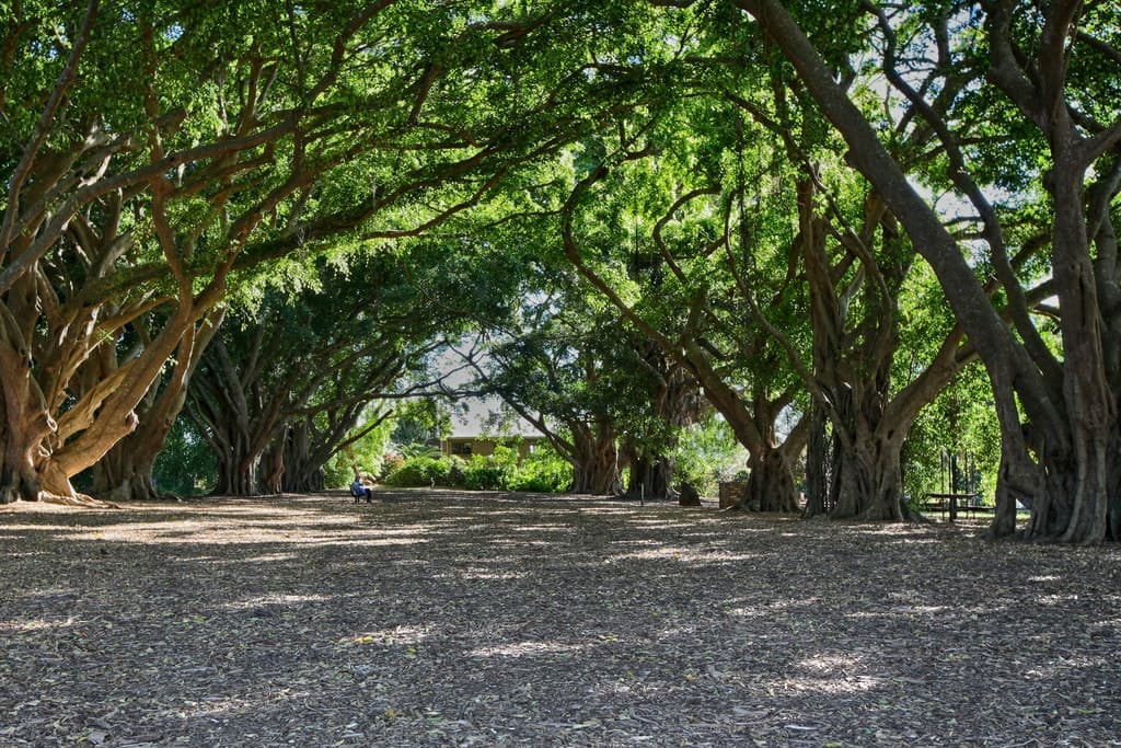 Lot 25 Birdwing Forest Place, BUDERIM QLD 4556, Buderim - Thumbnail 6