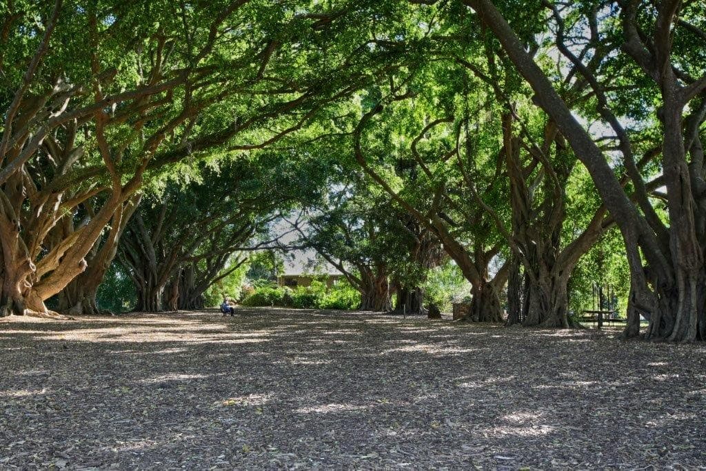 Lot 16 Birdwing Forest Place, BUDERIM QLD 4556, Buderim - Thumbnail 6