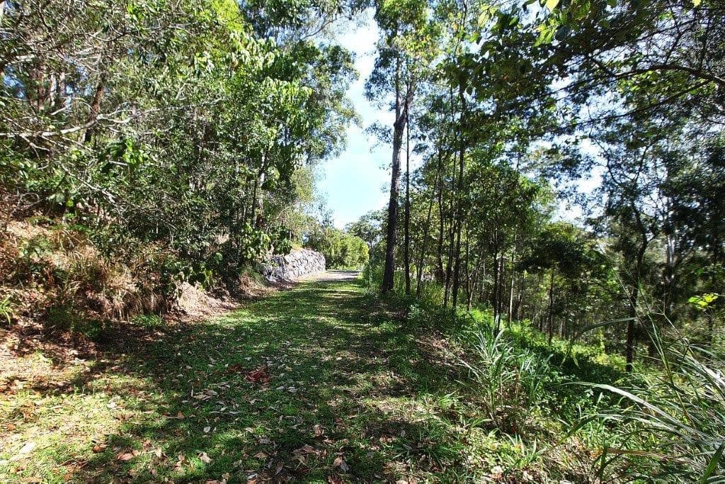 Lot 14 Birdwing Forest Place, BUDERIM QLD 4556, Buderim - Thumbnail 6