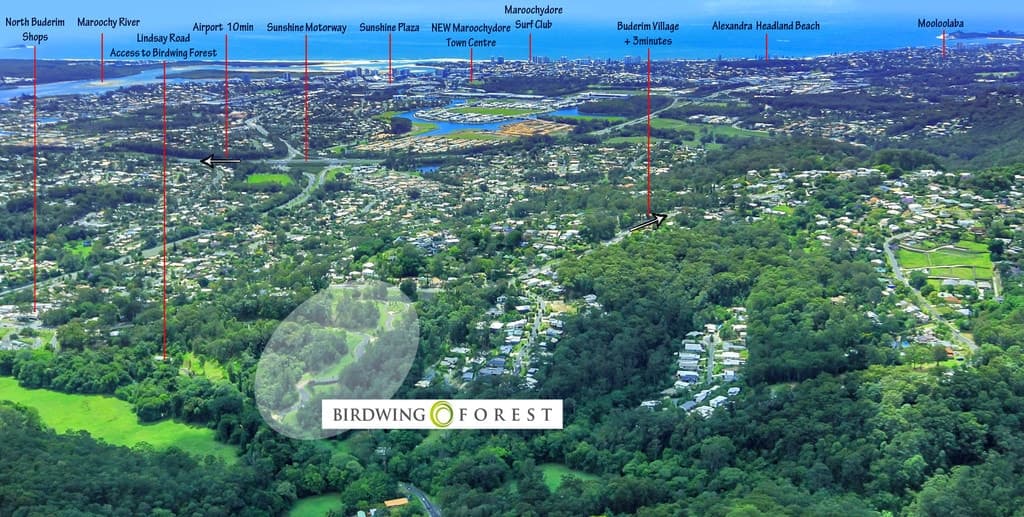 Lot 17 Birdwing Forest Place, BUDERIM QLD 4556, Buderim - Thumbnail 7