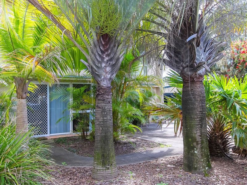 4/9-11 Amanda Avenue, MARCOOLA QLD 4564, Marcoola - Thumbnail 3