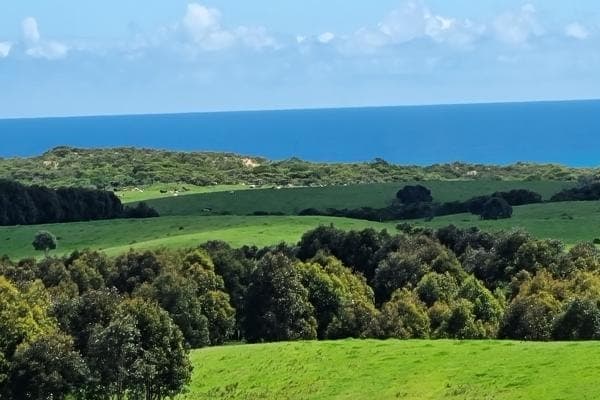 Enduro Road, Cape Bridgewater, VIC, 3305, Australia, Cape Bridgewater - Image 1