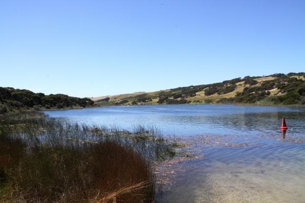 Enduro Road, Cape Bridgewater, VIC, 3305, Australia, Cape Bridgewater - Thumbnail 5