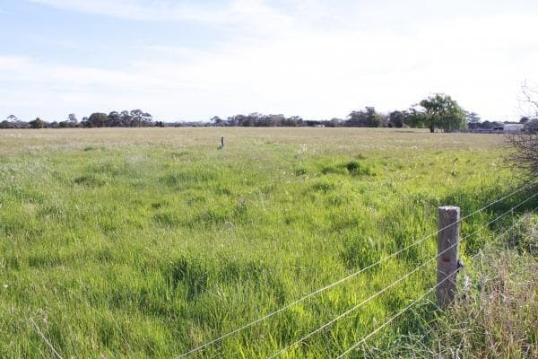 Catons Flat Road, Heywood, VIC, 3304, Australia, Heywood - Thumbnail 4
