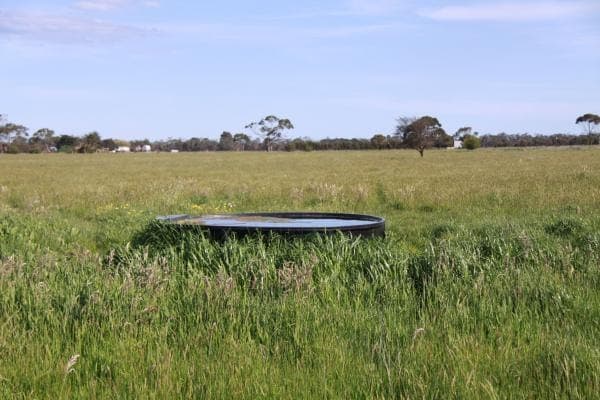 Catons Flat Road, Heywood, VIC, 3304, Australia, Heywood - Thumbnail 5