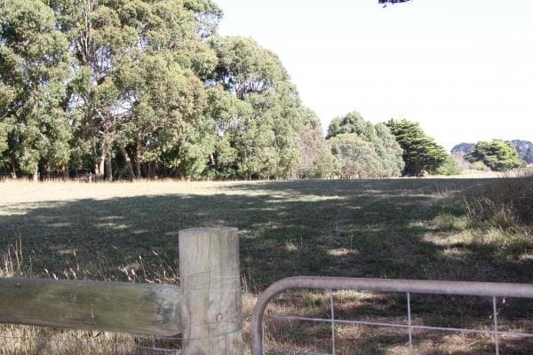 1385 Gorae Road, Gorae West, VIC, 3305, Australia, Gorae West - Thumbnail 3