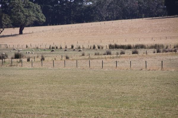 1385 Gorae Road, Gorae West, VIC, 3305, Australia, Gorae West - Thumbnail 4
