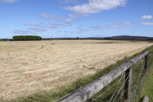 2200 Portland-Nelson Road, Gorae West, VIC, 3305, Australia, Gorae West - Thumbnail 3