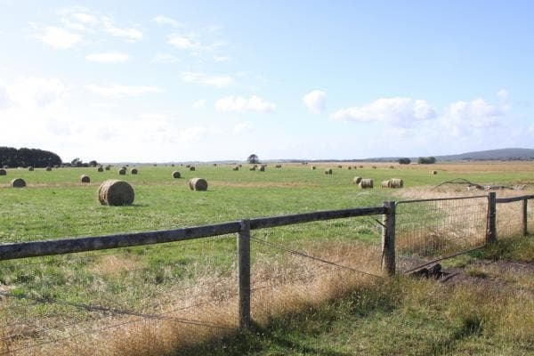 2200 Portland-Nelson Road, Gorae West, VIC, 3305, Australia, Gorae West - Thumbnail 4