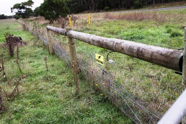 2200 Portland-Nelson Road, Gorae West, VIC, 3305, Australia, Gorae West - Thumbnail 6