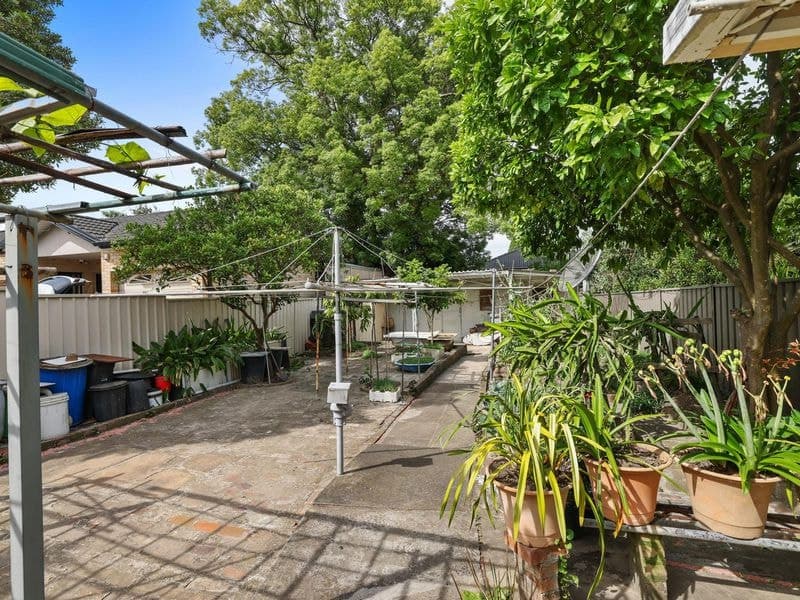27 Sackville Street, Bardwell Valley, Bardwell Valley - Thumbnail 5