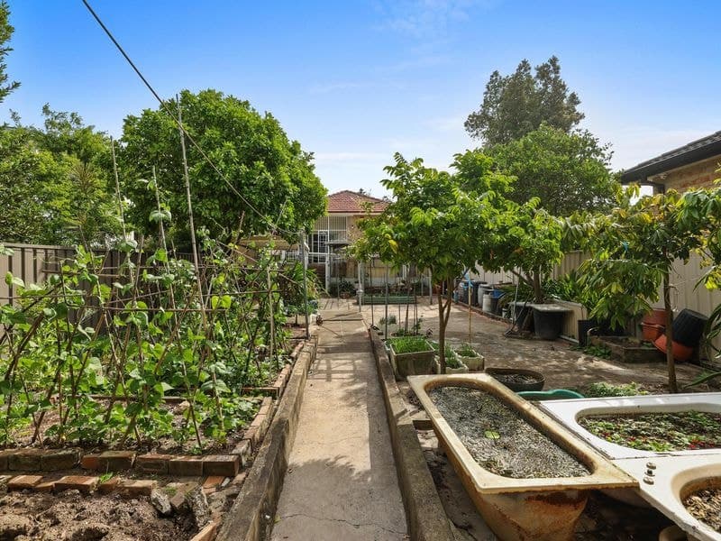 27 Sackville Street, Bardwell Valley, Bardwell Valley - Thumbnail 6
