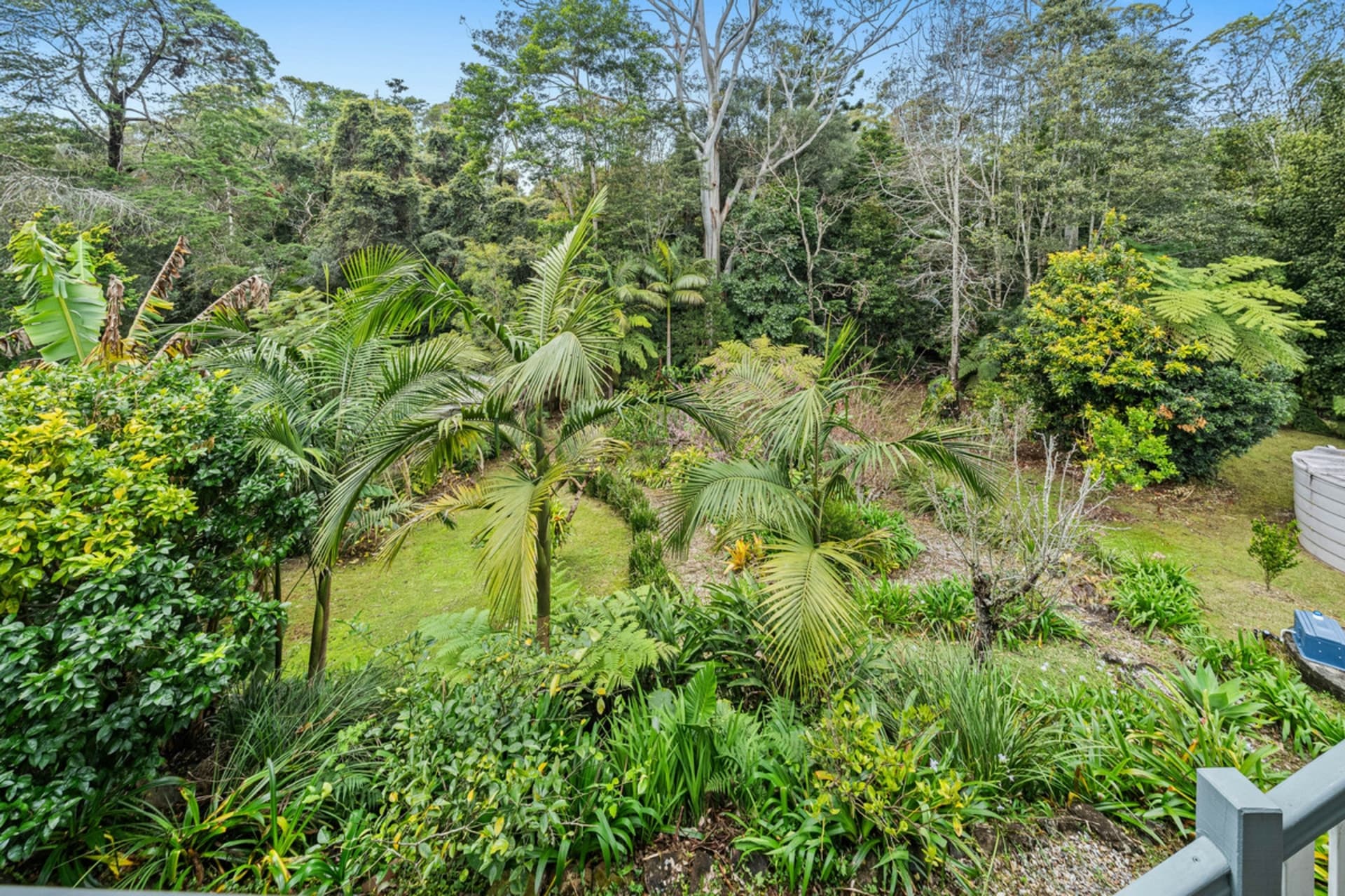 31 Lloyds Road Springbrook QLD, Springbrook - Thumbnail 6