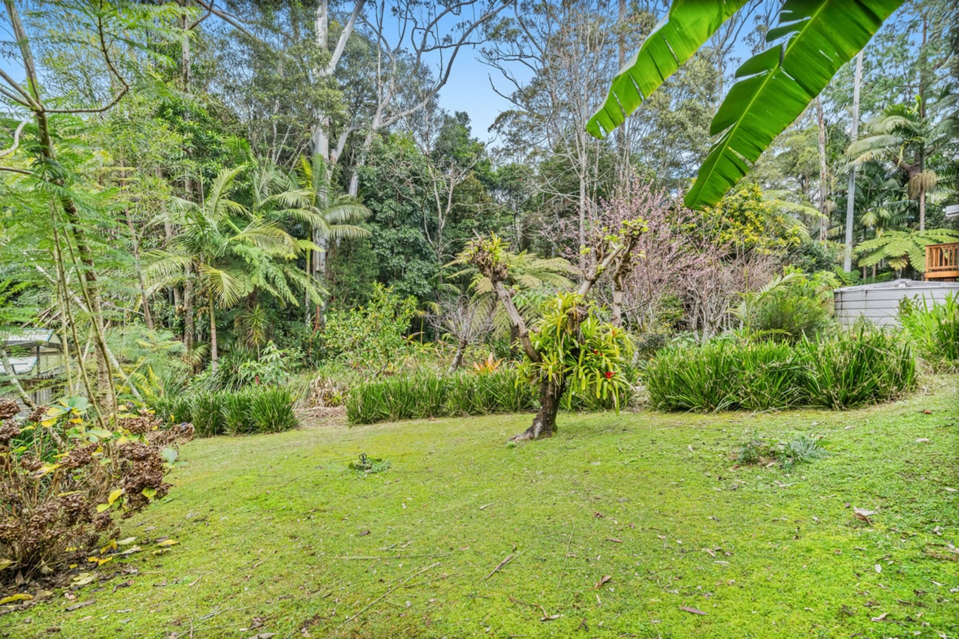 31 Lloyds Road Springbrook QLD, Springbrook - Thumbnail 8
