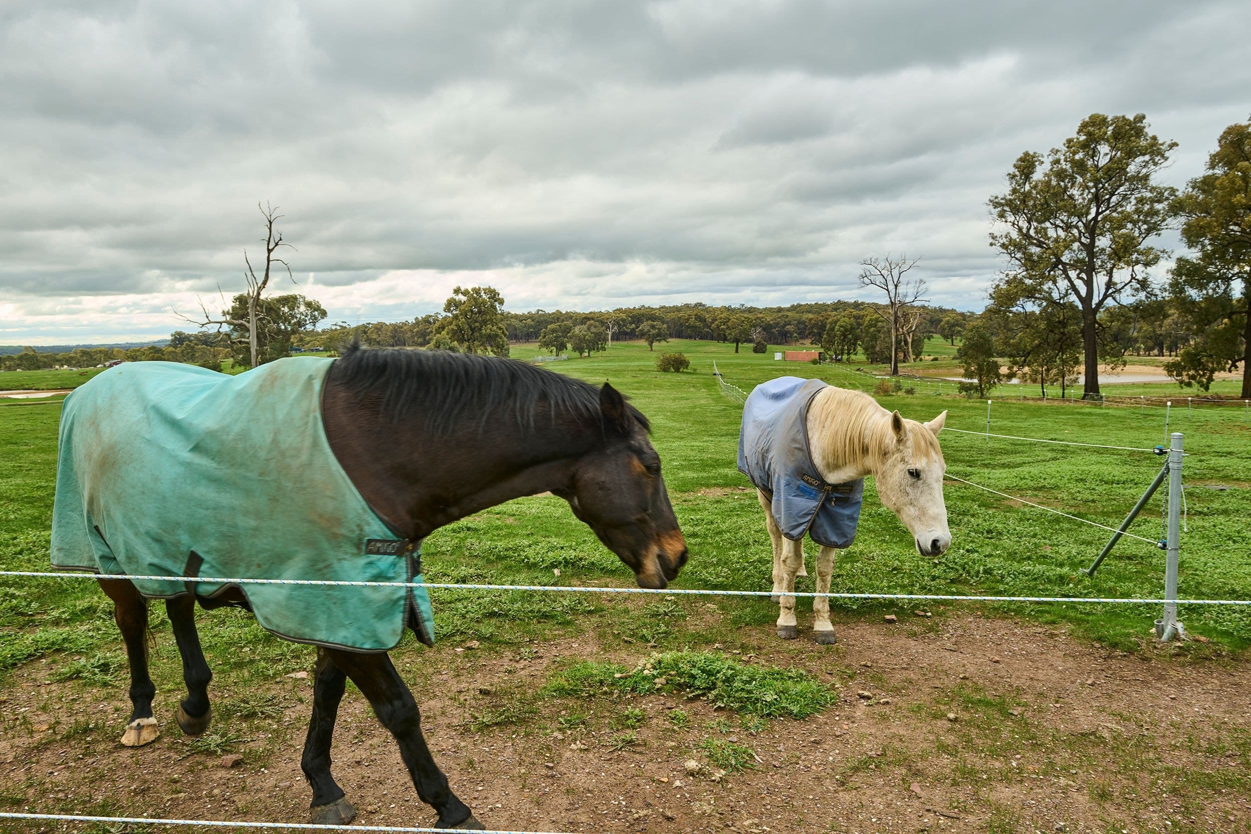 Lot 15 McLennan Road, Heathcote VIC 3523, Heathcote - Thumbnail 4