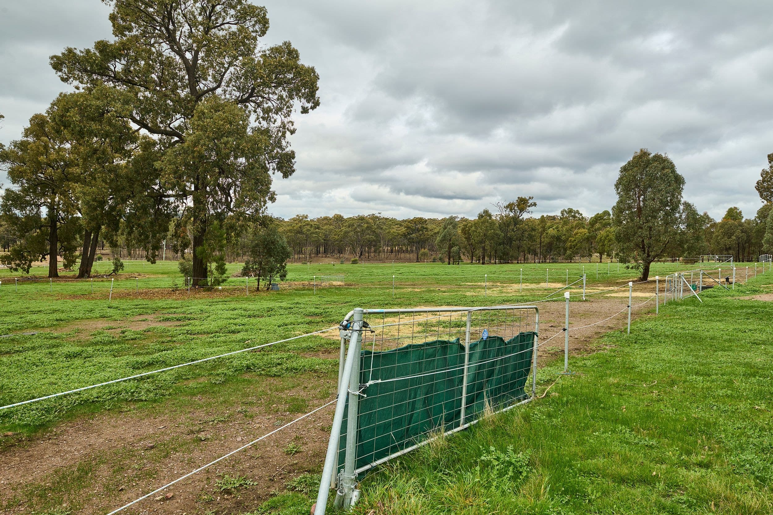 Lot 15 McLennan Road, Heathcote VIC 3523, Heathcote - Thumbnail 5