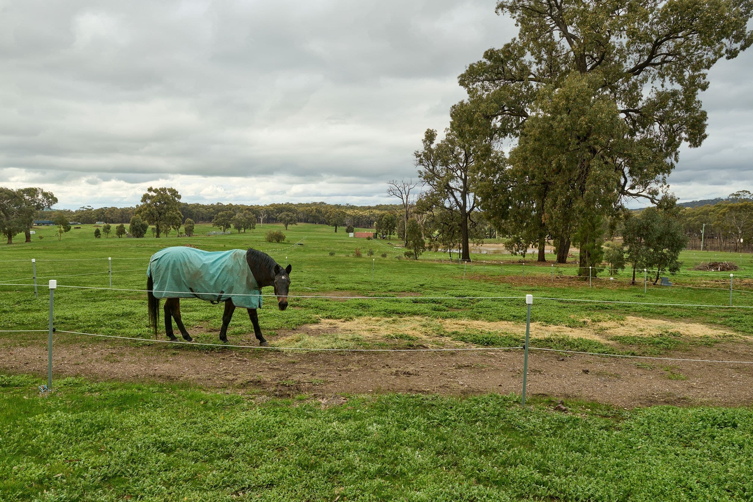 Lot 15 McLennan Road, Heathcote VIC 3523, Heathcote - Thumbnail 6