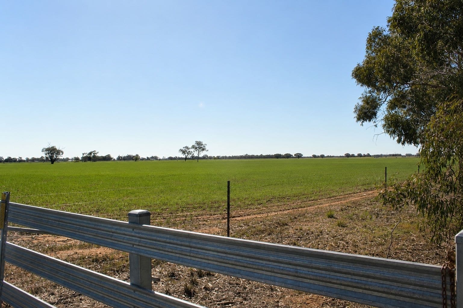 1226 Wilson Road, Tongala VIC 3621, Tongala - Thumbnail 2